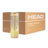 TENIS CAJA BOLAS  HEAD TOUR BOTE 3 (24 BOTES)